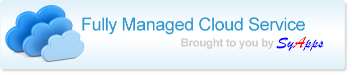 Fully Managed Cloud Service